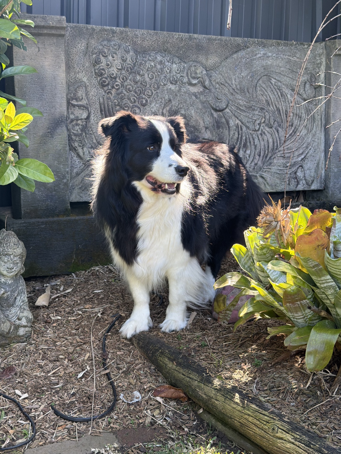 Oden, Security Manager at Home Lift Sydney
