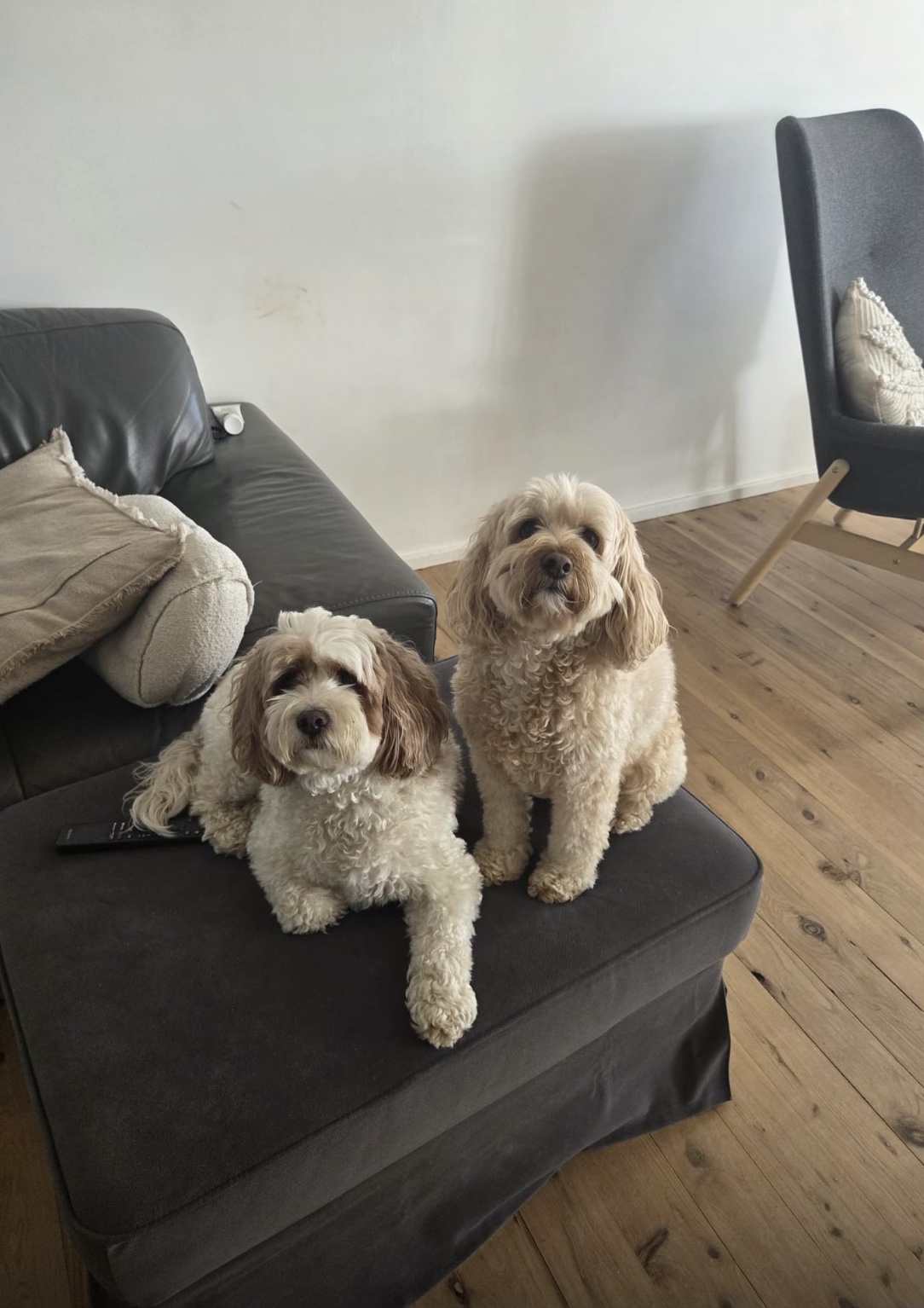 Patches, Quality Inspector, on the left and Pixie, Customer Relations Manager, on the right